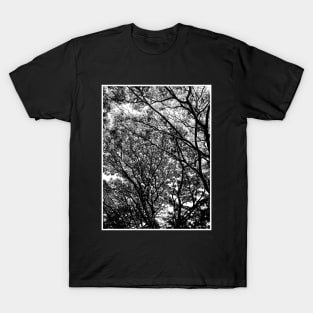 Big tree T-Shirt